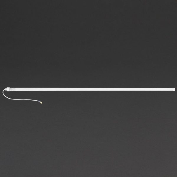 Polar LED Light