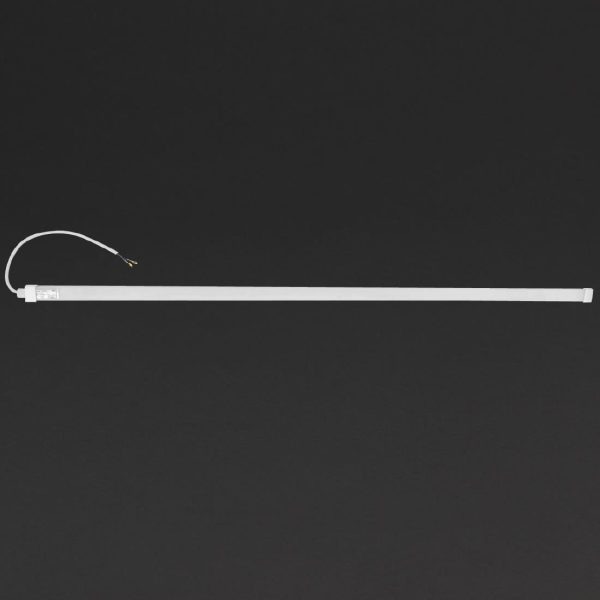 Polar LED Light