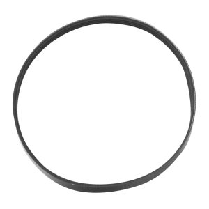 Santos Lower Belt Ref 65526