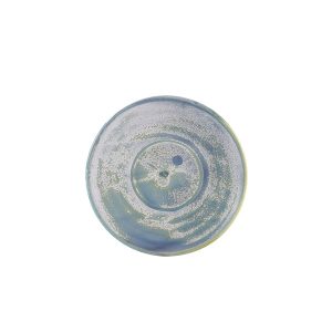 Terra Porcelain Seafoam Saucer 14.5cm QTY:6
