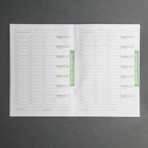 Multistem thermometer & temperature log book combo deal