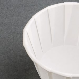 Recyclable Paper Sauce Pots Medium 2oz (Pack of 250)