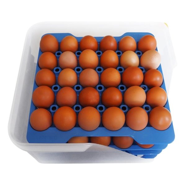 Araven Airtight Container with 4 Egg Trays GN 2/3 200mm