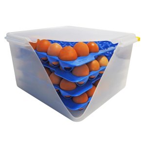 Araven Airtight Container with 4 Egg Trays GN 2/3 200mm