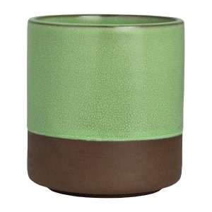 Maham Studio Spice Cardamon Cup 80x86mm (Pack of 12)