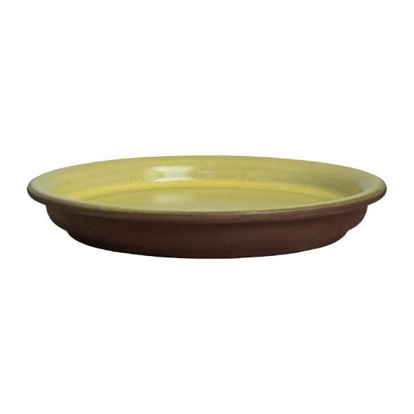 Maham Studio Spice Saffron Cover for Bowls 120mm (Pack of 12)