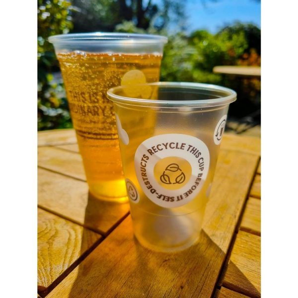 eGreen Printed TWOinONE Flexy Half-pint Glass CE Marked to Brim (Pack of of 1000)