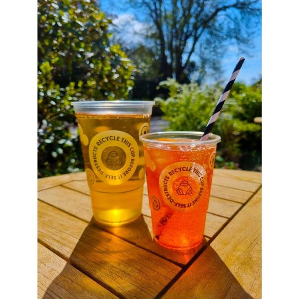 eGreen Printed TWOinONE Flexy Half-pint Glass CE Marked to Line (Pack of of 1000)