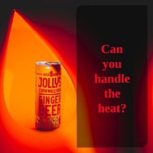Jolly’s Cornish Ginger Beer Cans 250ml (Pack of 24)