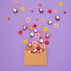 Mallow & Marsh Marshmallow Raspberry & Dark Chocolate Bars 35g (Pack of 12)