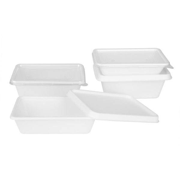 Fiesta Recyclable PET Lids for Bagasse Container Bases (Pack of 100)