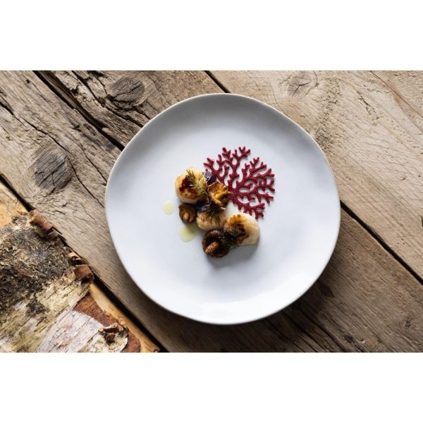 Olympia Raw Recycled Clay Natural Coupe Plates 220mm (Pack of 6)